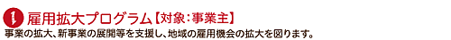 雇用拡大プログラム：事業の拡大、新事業の展開等を支援し地域の雇用機会の拡大を図ります。