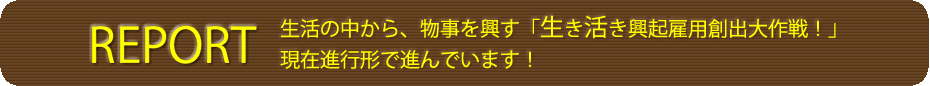 生き活き興起雇用創出大作戦・レポート