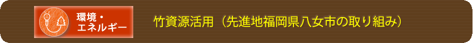 竹資源活用（先進地福岡県八女市の取り組み）