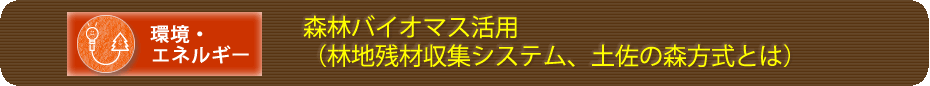 森林バイオマス活用（林地残材収集システム、土佐の森方式とは）