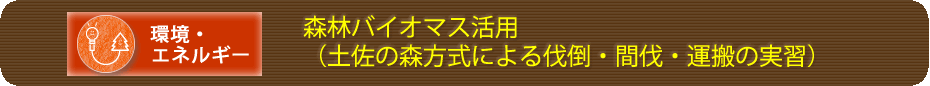 森林バイオマス活用（土佐の森方式による伐倒・間伐・運搬の実習）