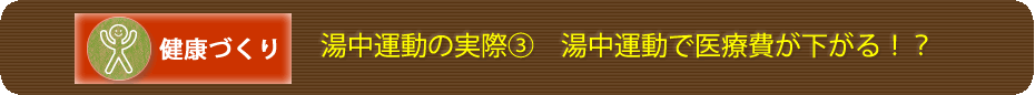 湯中運動の実際③　湯中運動で医療費が下がる！？